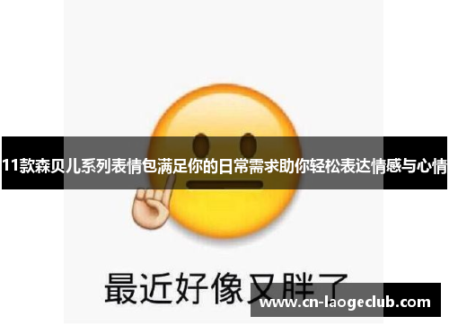 11款森贝儿系列表情包满足你的日常需求助你轻松表达情感与心情