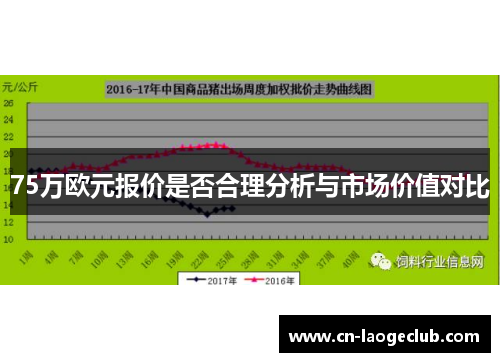75万欧元报价是否合理分析与市场价值对比