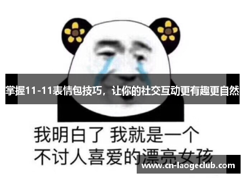 掌握11-11表情包技巧，让你的社交互动更有趣更自然