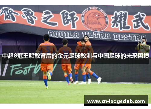 中超8冠王解散背后的金元足球教训与中国足球的未来困境