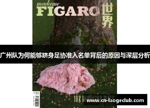 广州队为何能够跻身足协准入名单背后的原因与深层分析