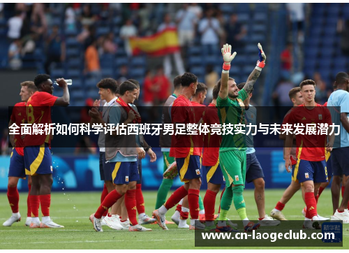 全面解析如何科学评估西班牙男足整体竞技实力与未来发展潜力