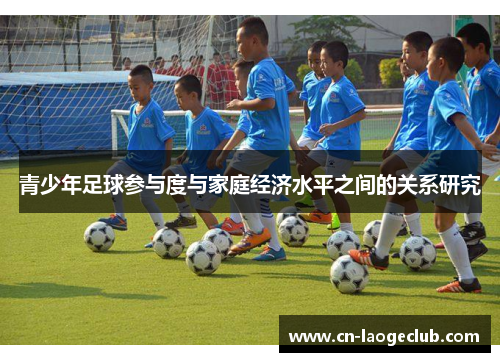 青少年足球参与度与家庭经济水平之间的关系研究